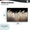 Stupell Industries White Feathers Windblown Grasses Framed Giclee, design by Decent Exposures